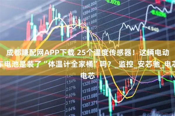 成都赚配网APP下载 25个温度传感器！这辆电动车电池是装了“体温计全家桶”吗？_监控_安芯驰_电芯