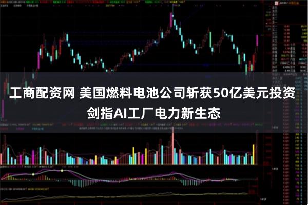 工商配资网 美国燃料电池公司斩获50亿美元投资 剑指AI工厂电力新生态