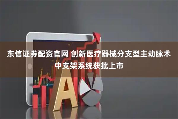东信证券配资官网 创新医疗器械分支型主动脉术中支架系统获批上市