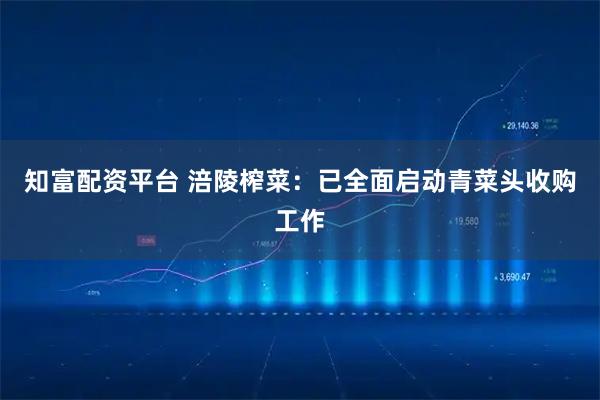 知富配资平台 涪陵榨菜：已全面启动青菜头收购工作