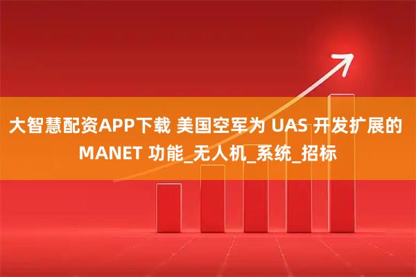 大智慧配资APP下载 美国空军为 UAS 开发扩展的 MANET 功能_无人机_系统_招标