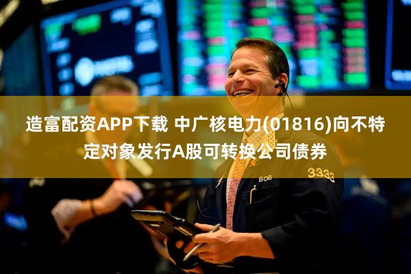 造富配资APP下载 中广核电力(01816)向不特定对象发行A股可转换公司债券