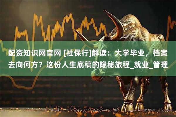 配资知识网官网 [社保行]解读：大学毕业，档案去向何方？这份人生底稿的隐秘旅程_就业_管理