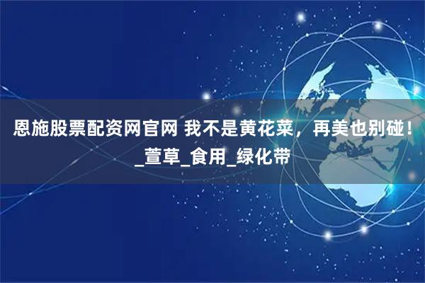 恩施股票配资网官网 我不是黄花菜，再美也别碰！_萱草_食用_绿化带
