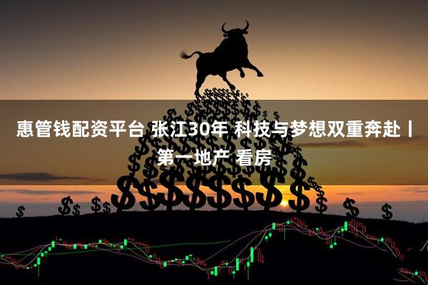 惠管钱配资平台 张江30年 科技与梦想双重奔赴丨第一地产 看房